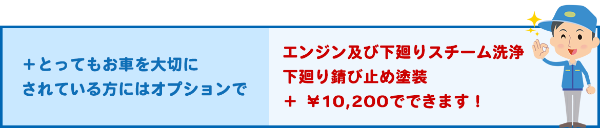 とってもお車を大切にされている方にはオプションで